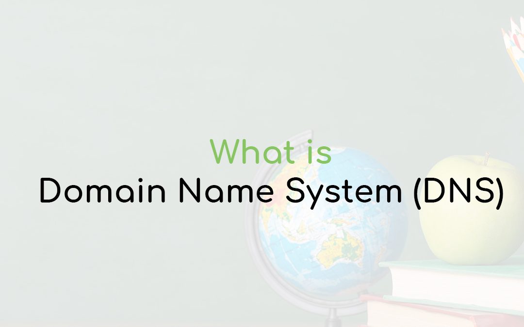 Domain Name System (DNS)