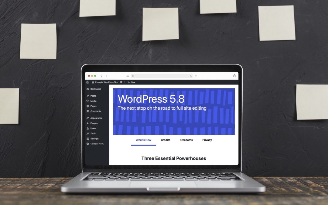 What’s New in WordPress 5.8 Tatum?
