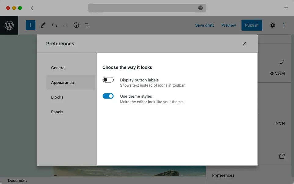 The Appearance tab can change how Gutenberg looks.