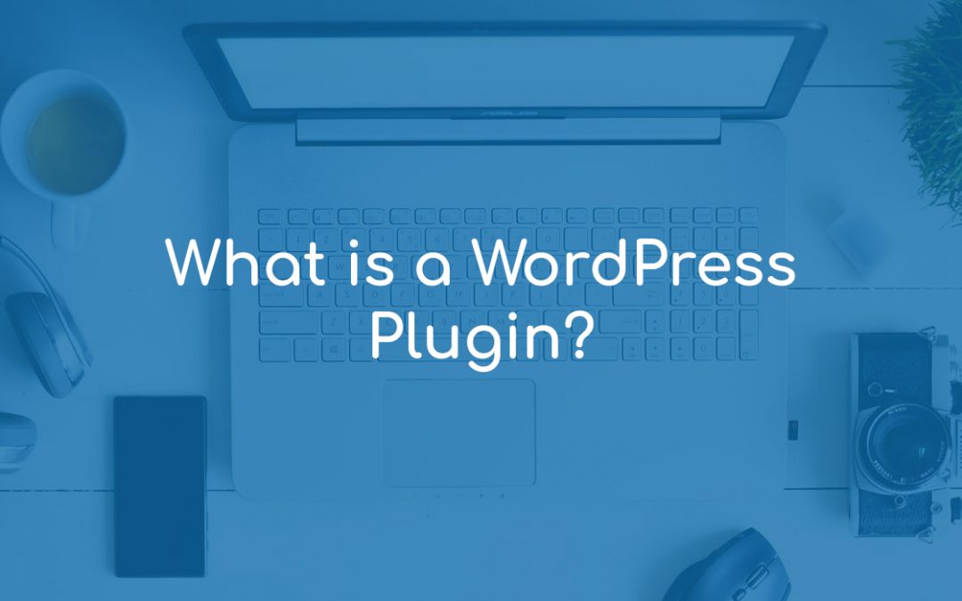 What is a WordPress Plugin?