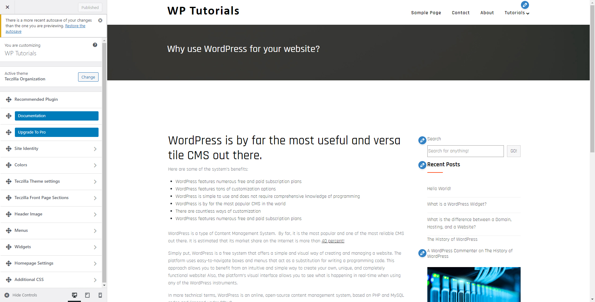WordPress Customize Tab Settings