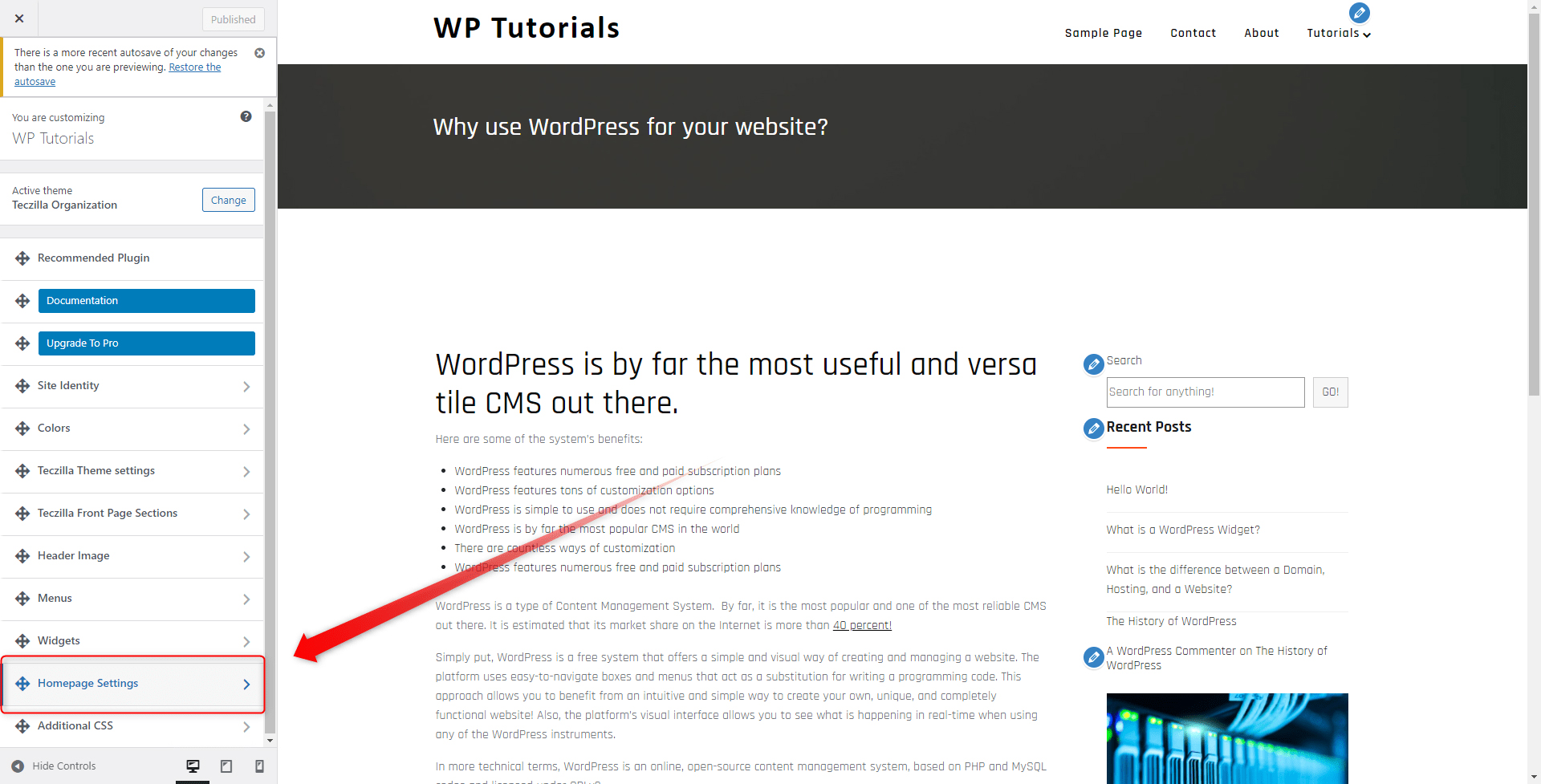 WordPress Customize Tab Homepage Settings