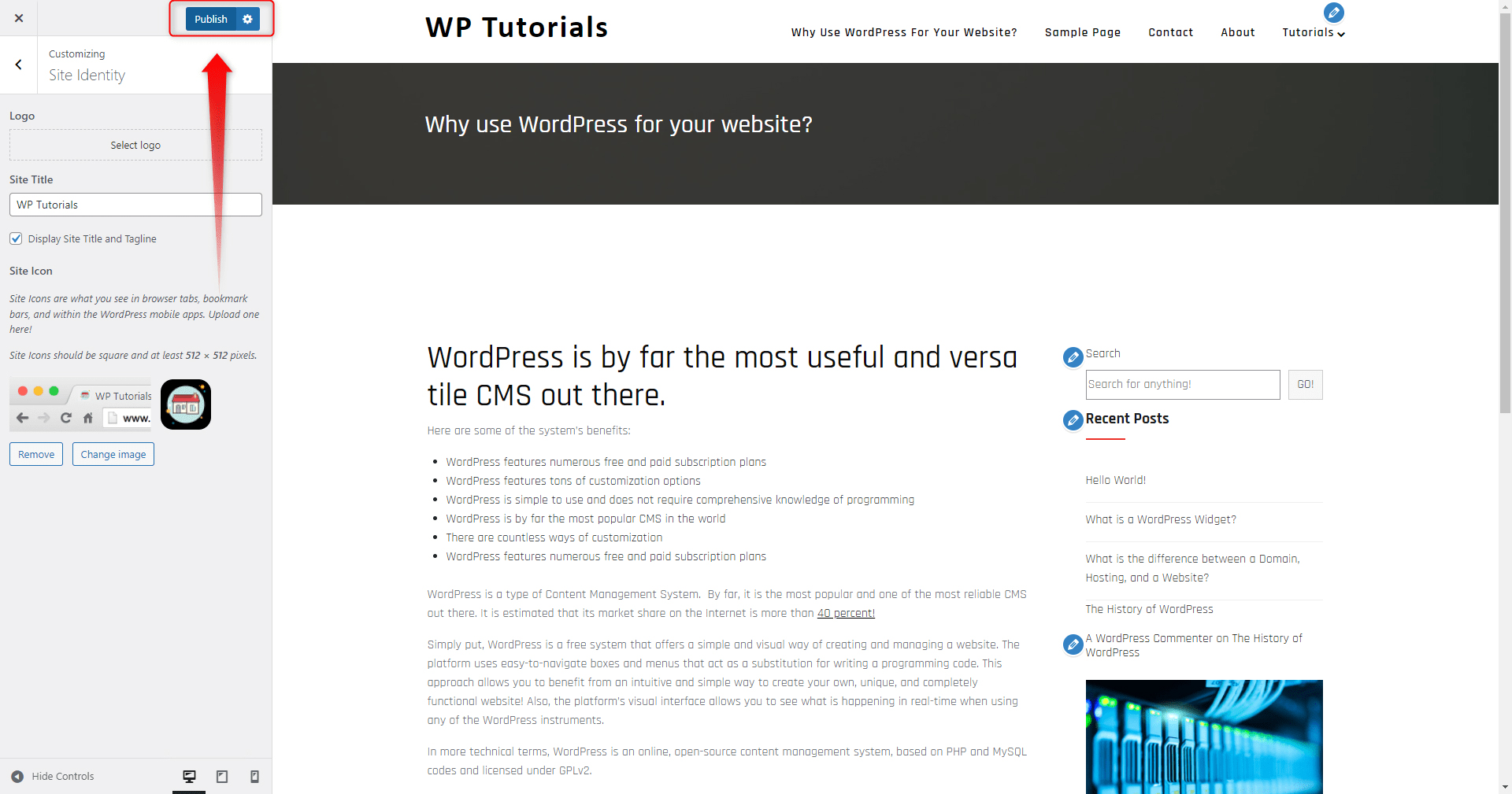 Publsih the changes in WordPress Customization Menu