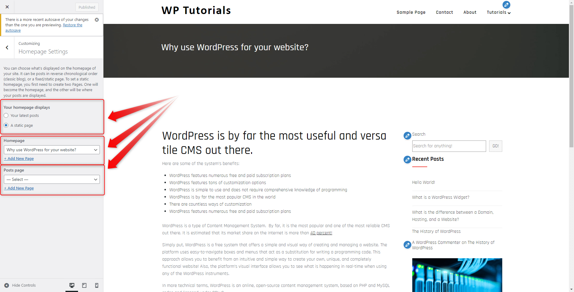 WordPress Customize Tab Homepage Settings
