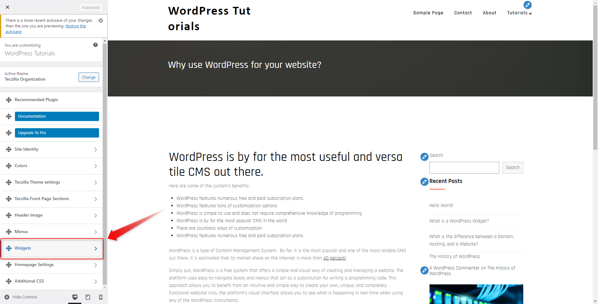 WordPress Widgets Tab
