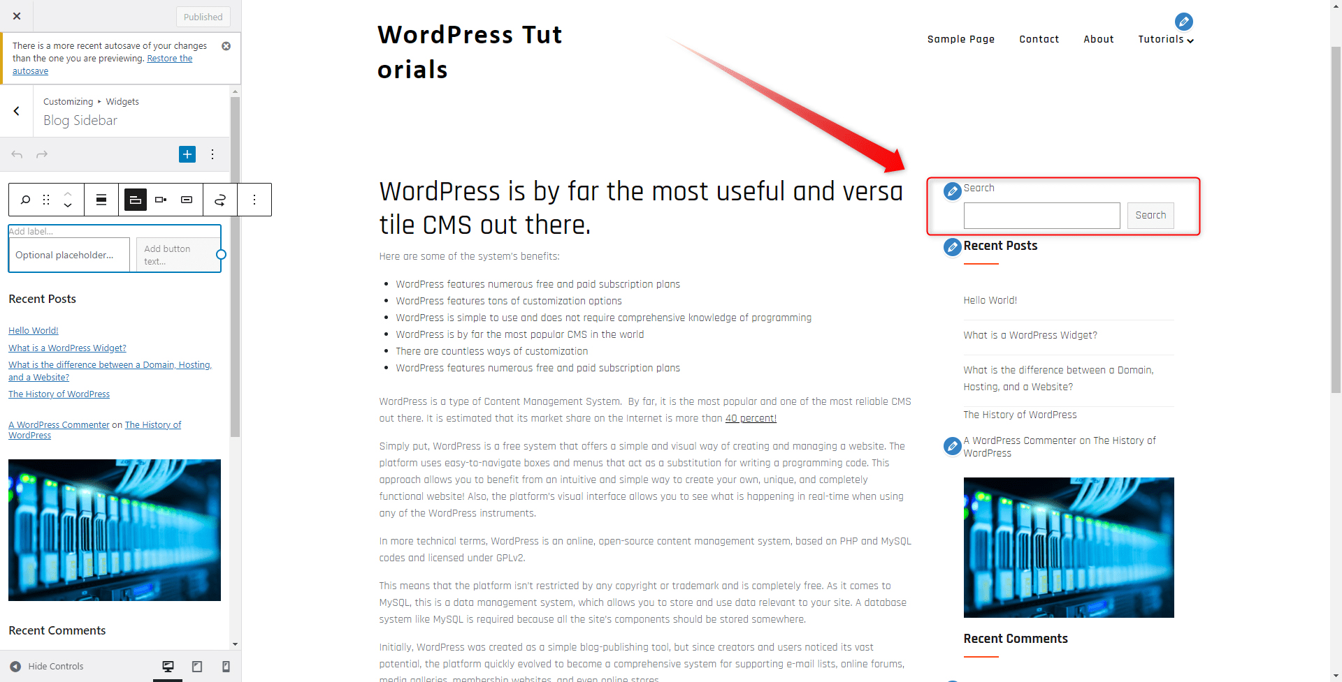 WordPress Widgets Search Box