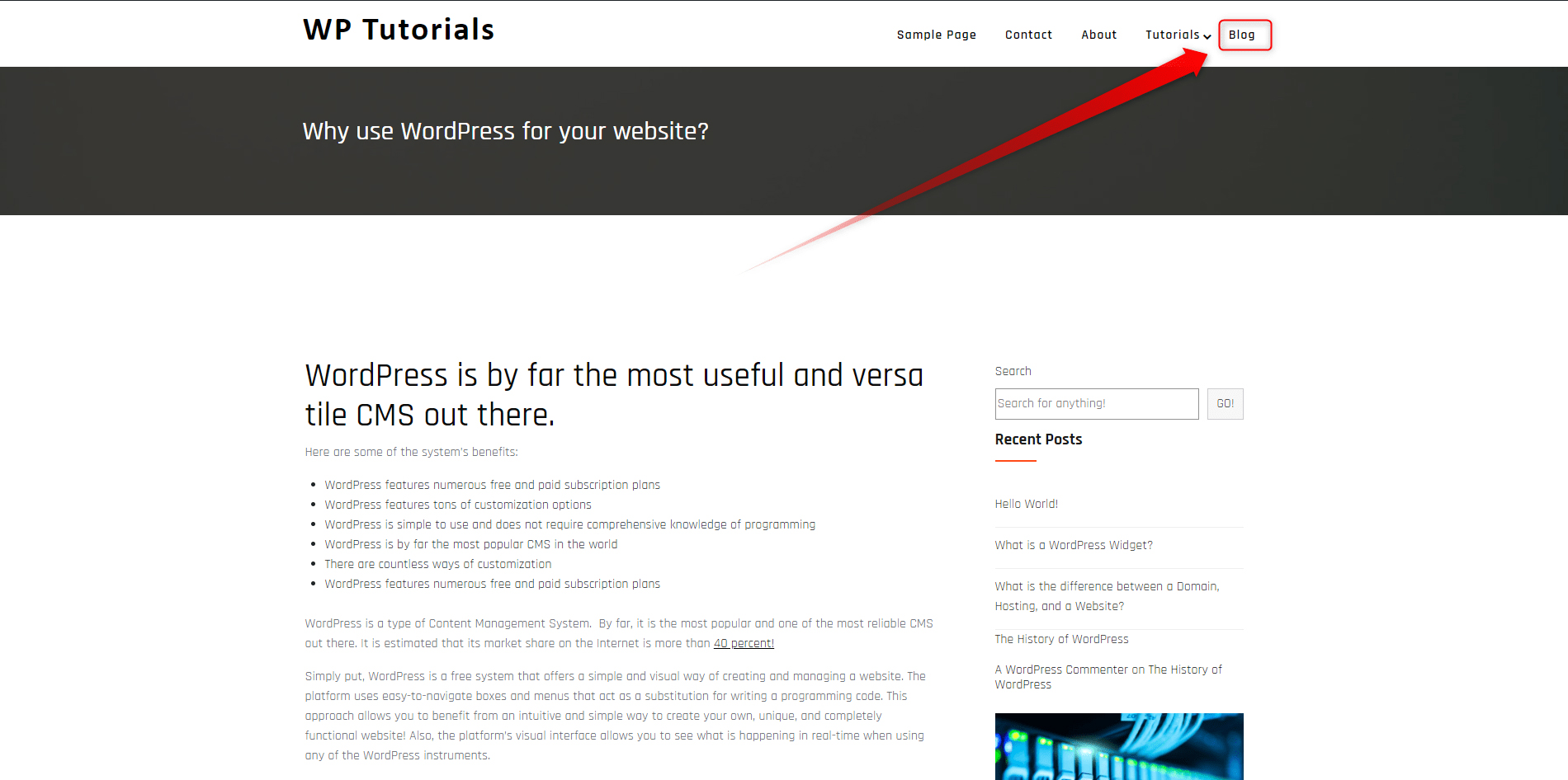 WordPress Menu Item