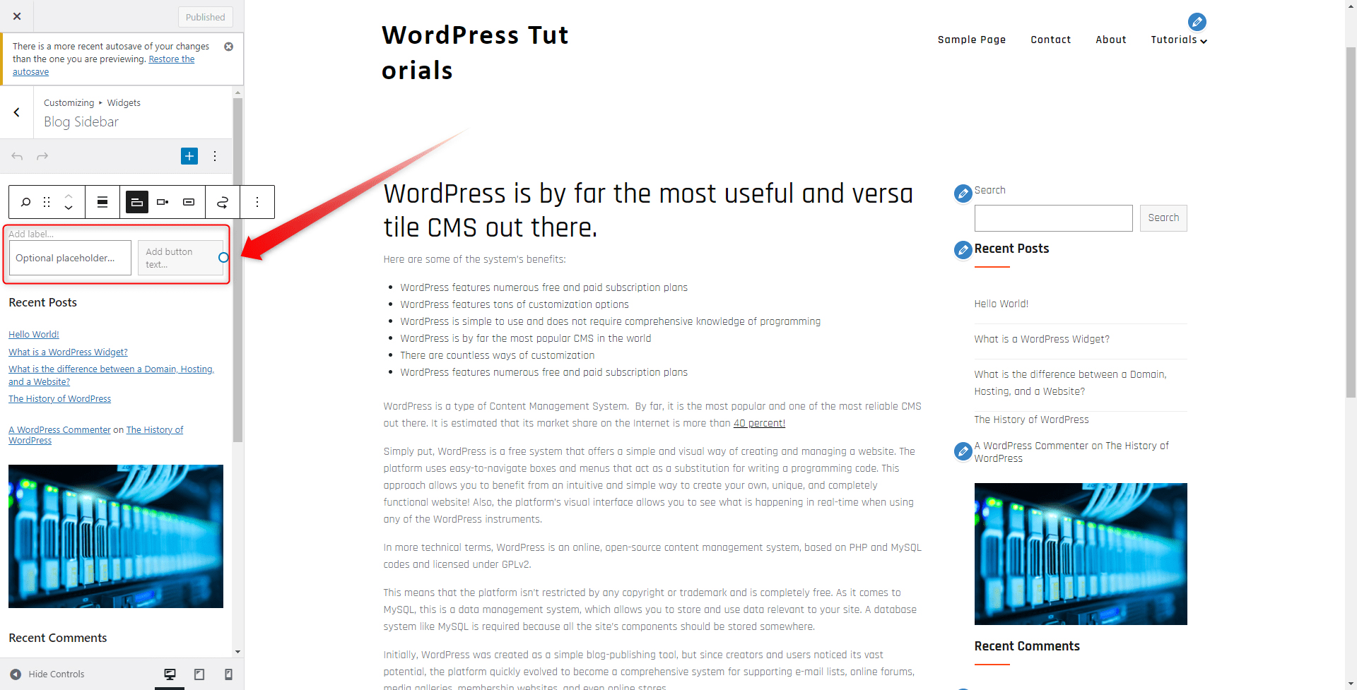 WordPress Widgets Custom Text