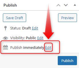 WordPress Publish Options