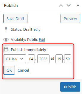 WordPress Publication Options 