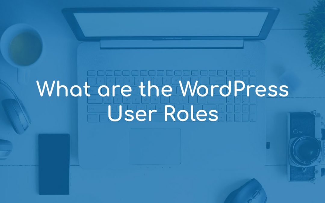 What are the WordPress User Roles