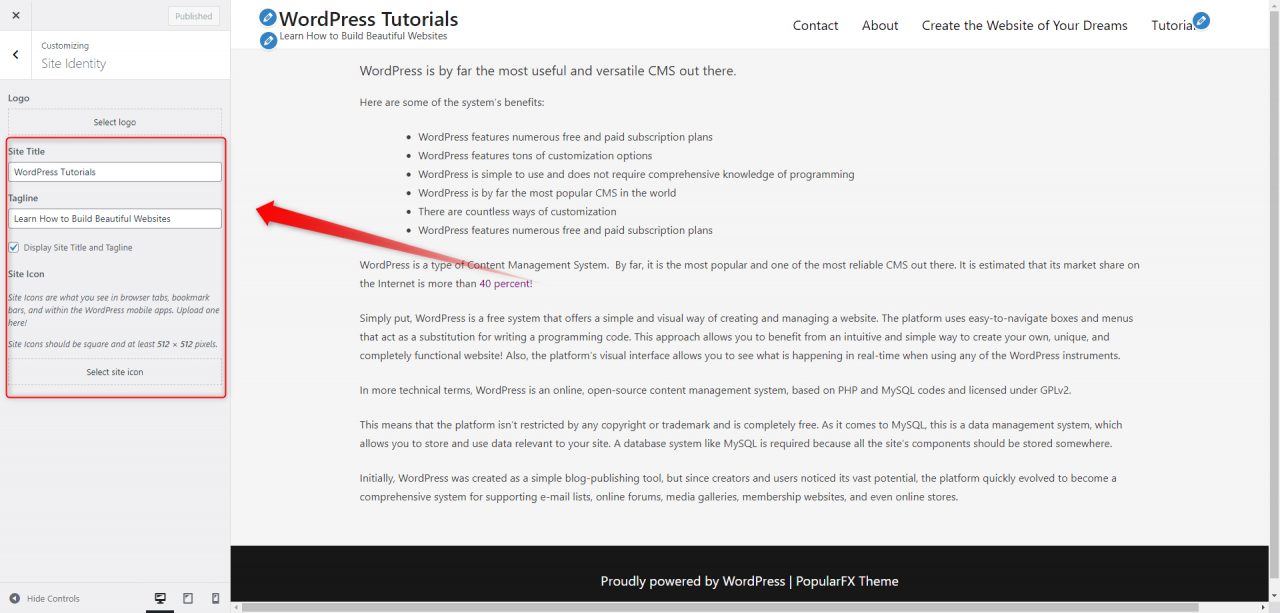 How to Customize Your WordPress Theme? - ZETTAHOST.com