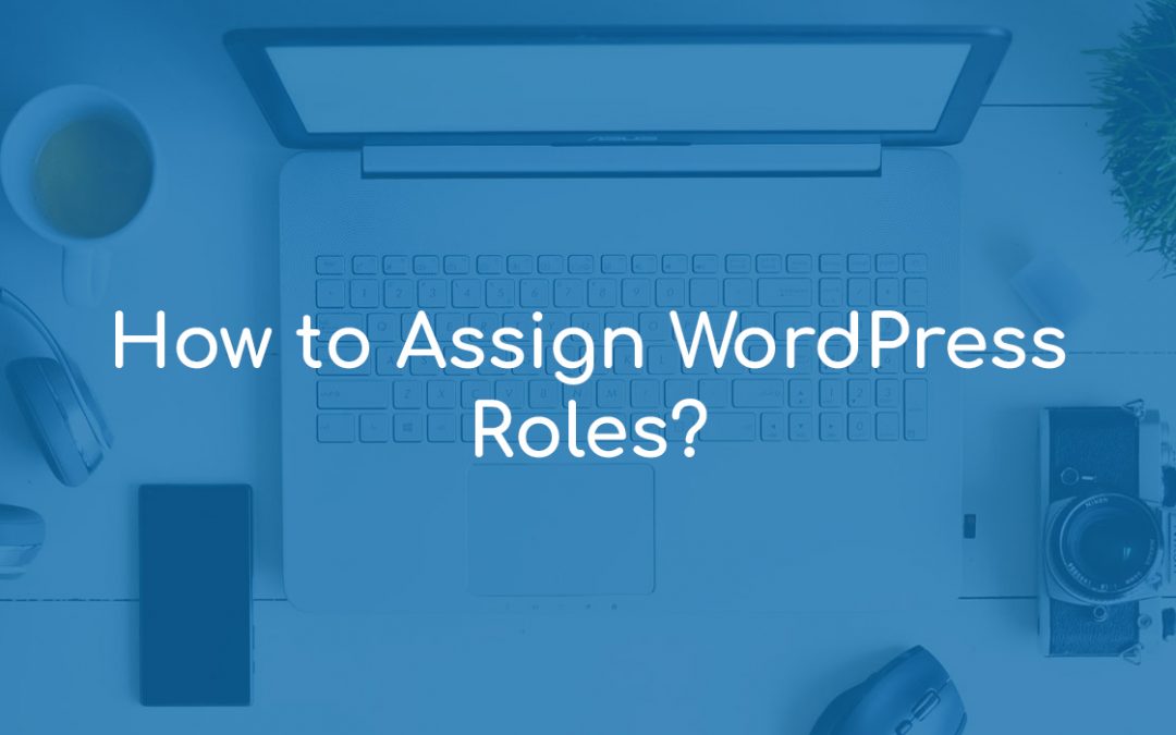 How to Assign WordPress Roles?