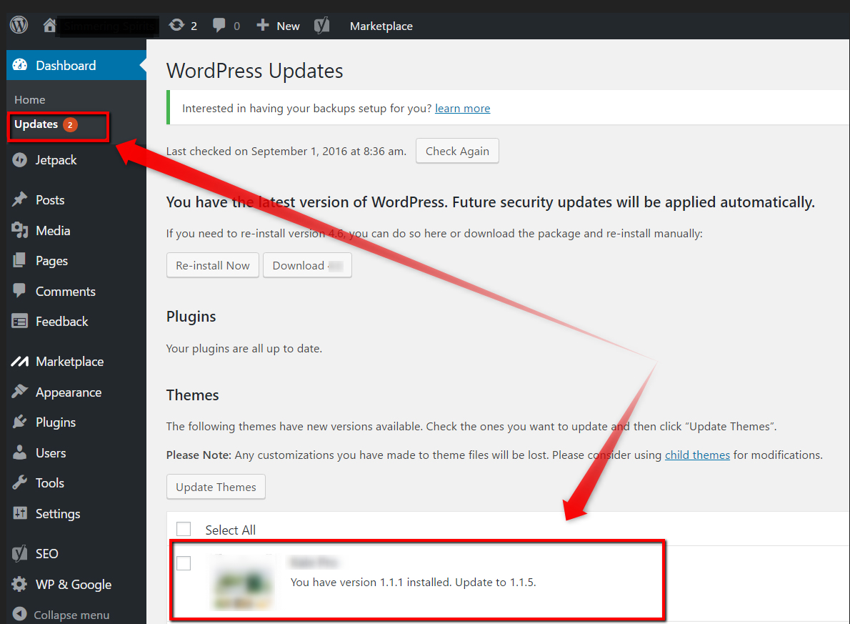 Elements of the WordPress Updates page