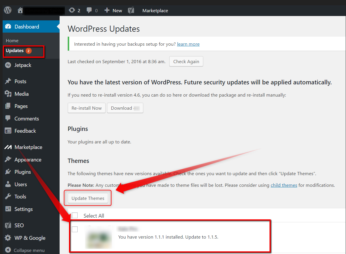 WordPress Update Theme button