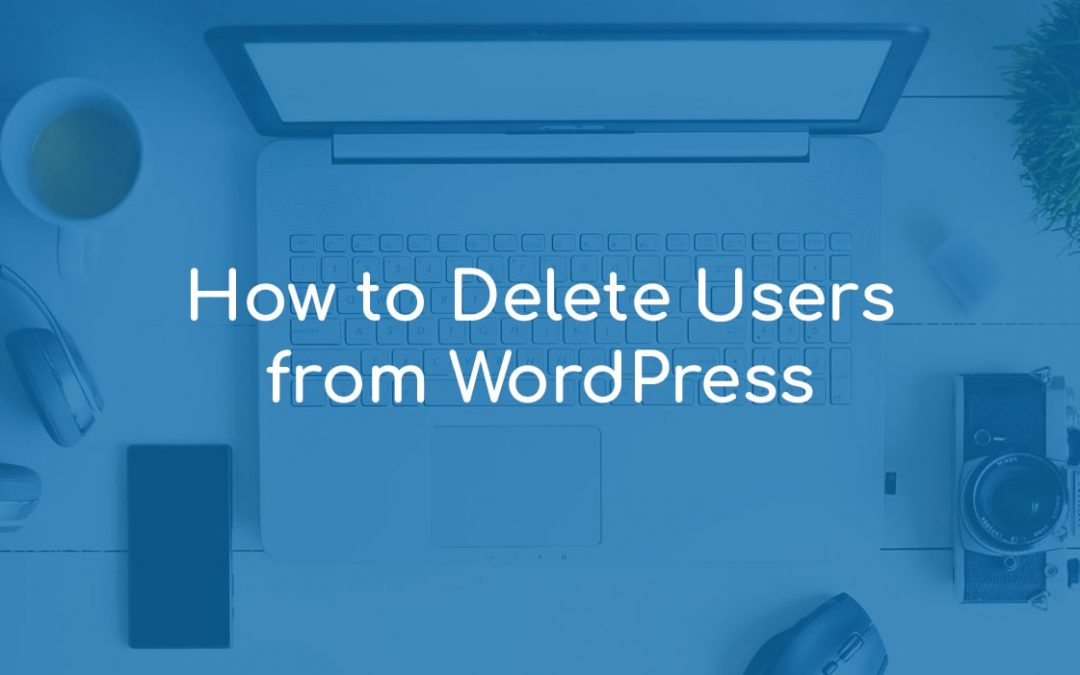 How to Delete Users from WordPress