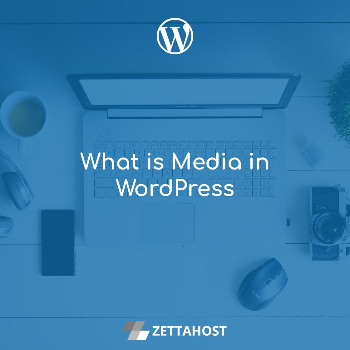 What is Media in WordPress Free Hosting