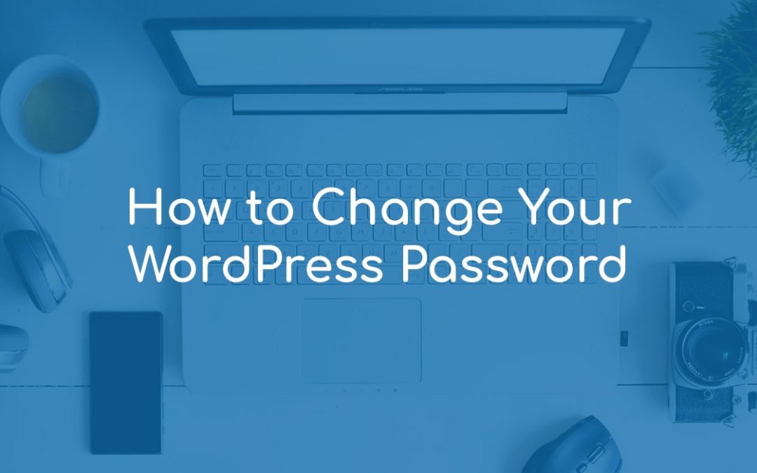 How to Change Your WordPress Password