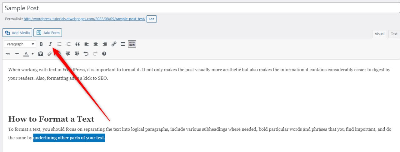 How to Format Text in WordPress - ZETTAHOST.com