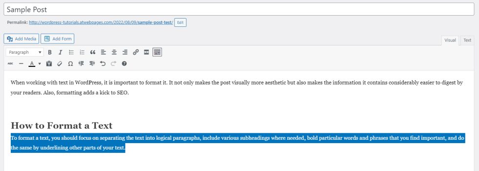 How to Format Text in WordPress - ZETTAHOST.com