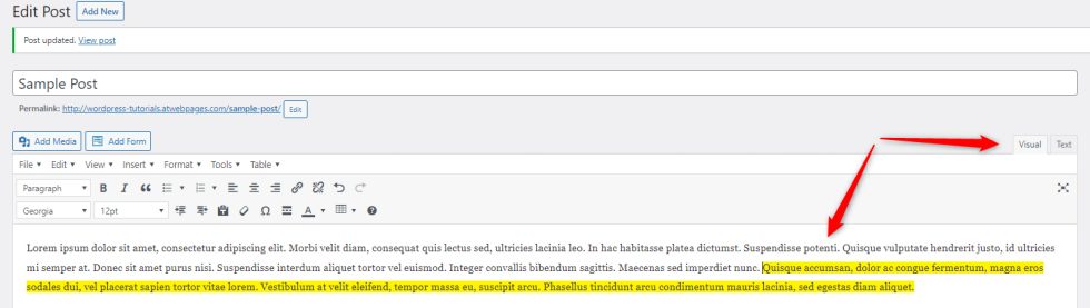 How to Highlight Text in WordPress - Free Hosting - ZETTAHOST.com