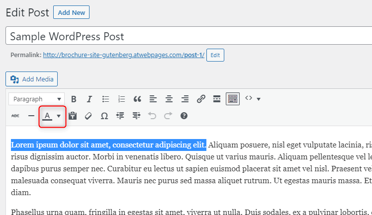 WordPress Block Editor Text Formatting Options