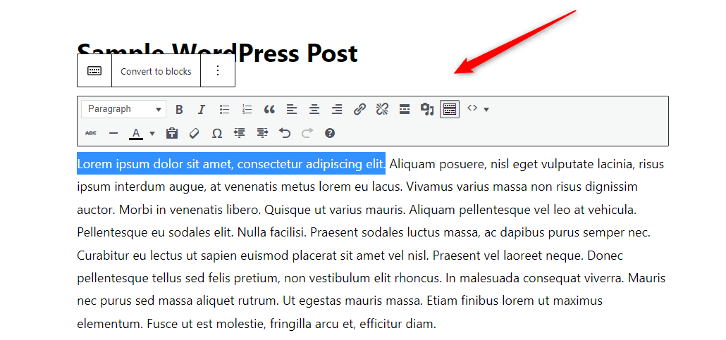 WordPress Block Editor Paragraph Edit