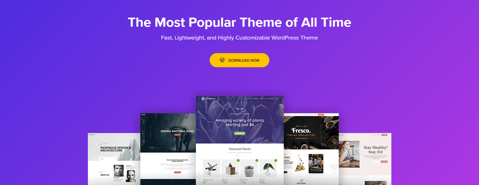 WordPress Gutenberg Compatible Themes Astra