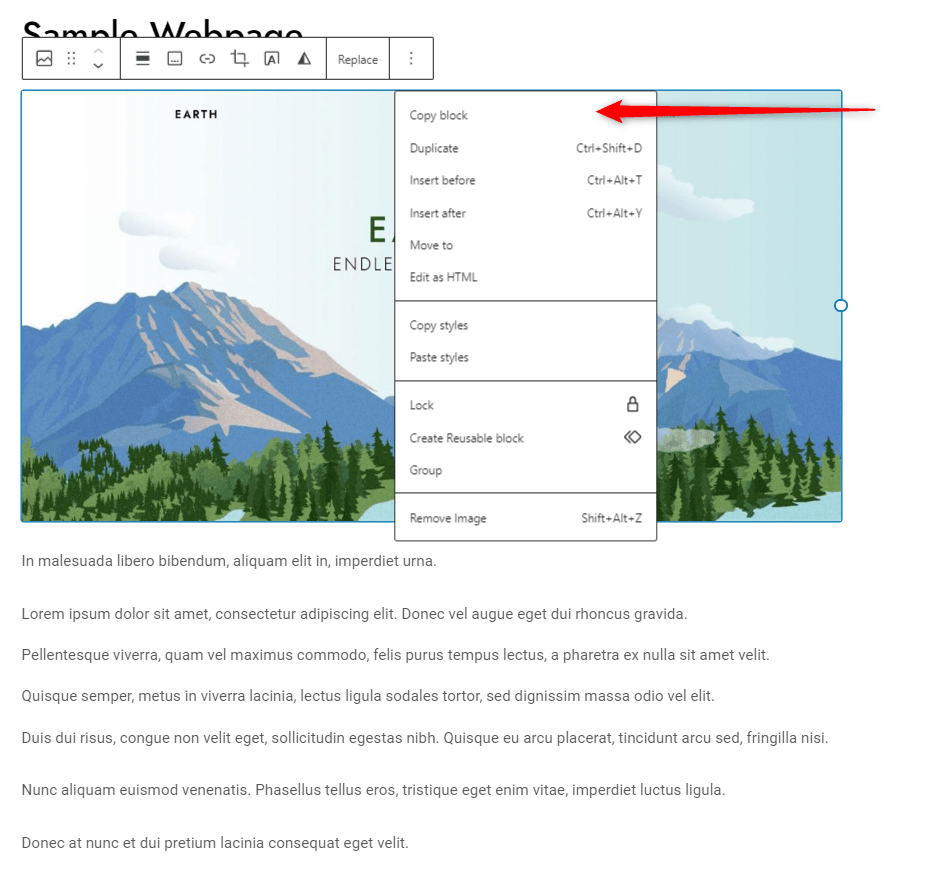 WordPress Gutenberg Editor Copy Block 